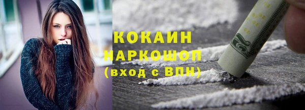 прущие грибы Бронницы