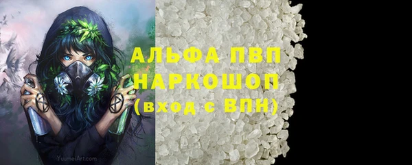 прущие грибы Бронницы