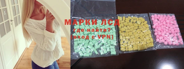 прущие грибы Бронницы