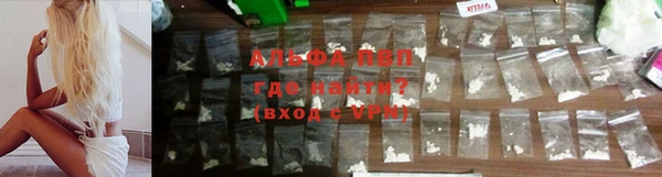 прущие грибы Бронницы