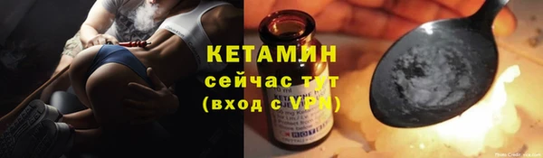 прущие грибы Бронницы