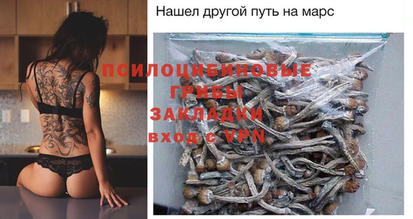 амф Бугульма