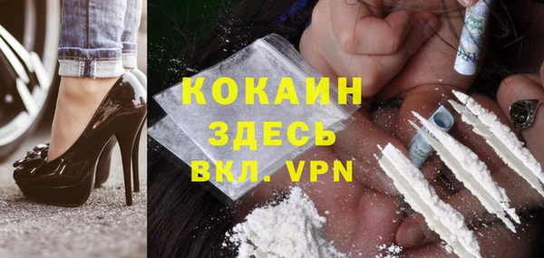 трава Бородино