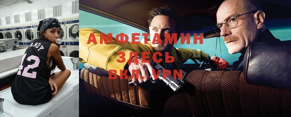 прущие грибы Бронницы