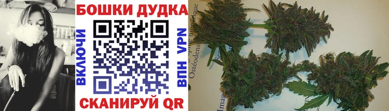 МАРИХУАНА семена  Юрьевец 